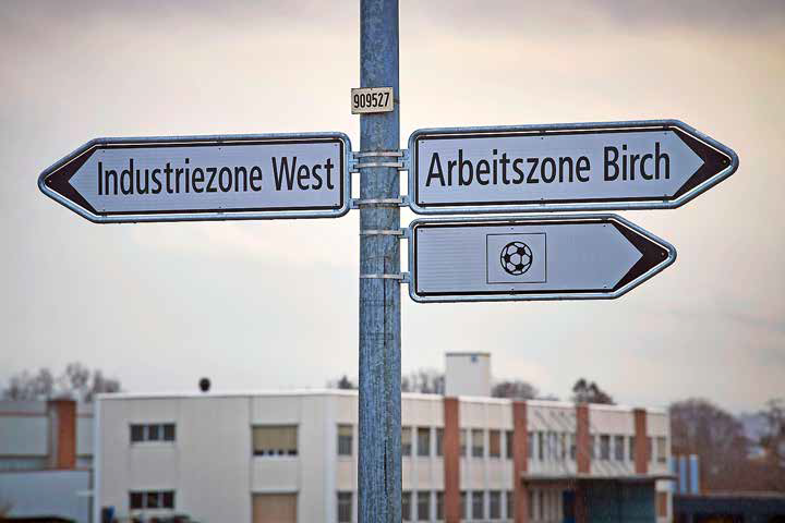 ABZ Birch1