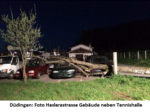 Baum fällt auf Autos Düdingen