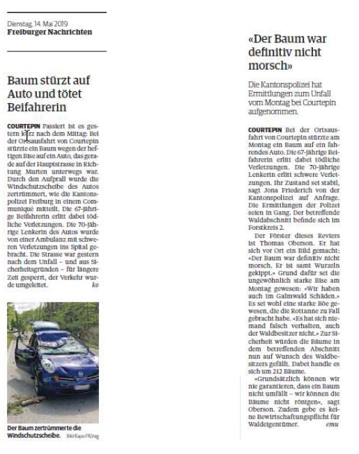 Baum stützt auf Auto und tötet Beifahrerin