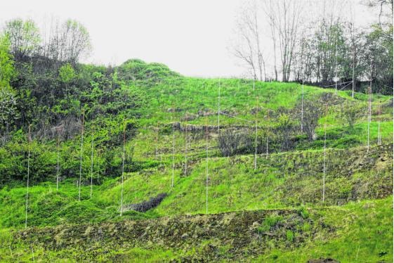 Landbesitzter 2